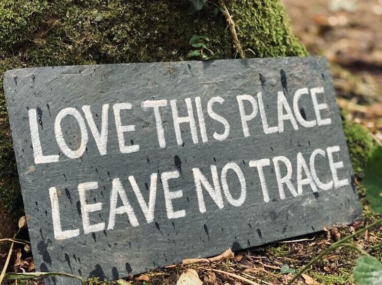 Elm   Bell Tent, Anglesey, North Wales