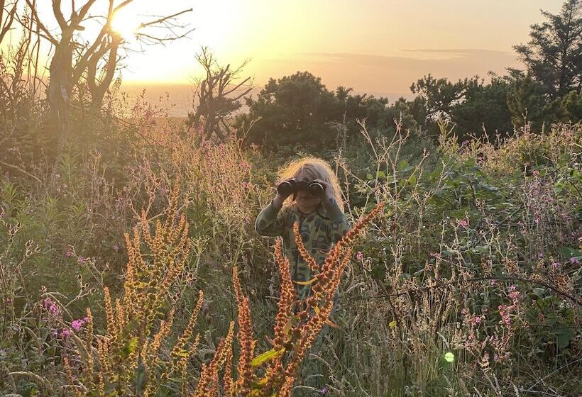Elm   Bell Tent, Anglesey, North Wales