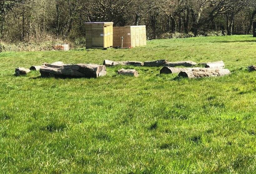 Elm   Bell Tent, Anglesey, North Wales