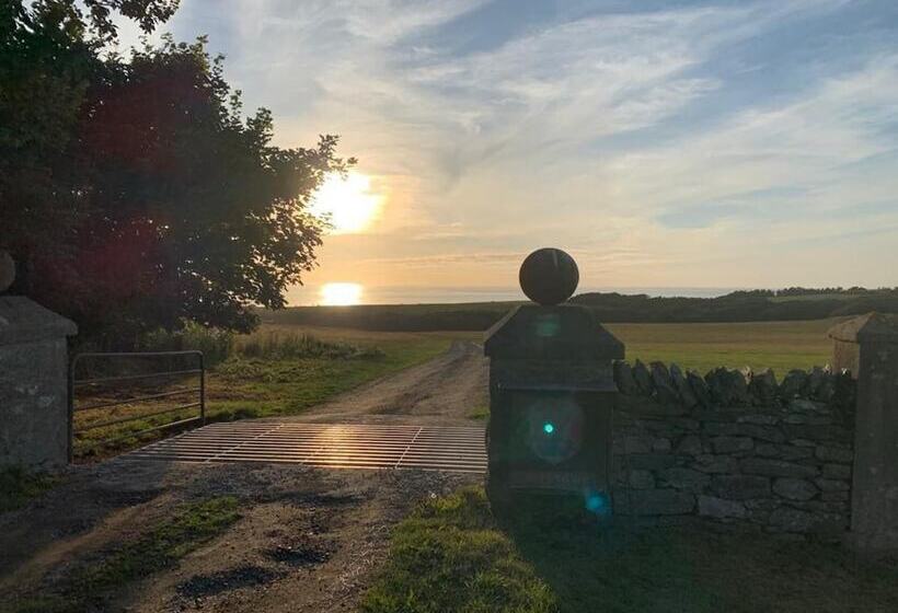 Elm   Bell Tent, Anglesey, North Wales