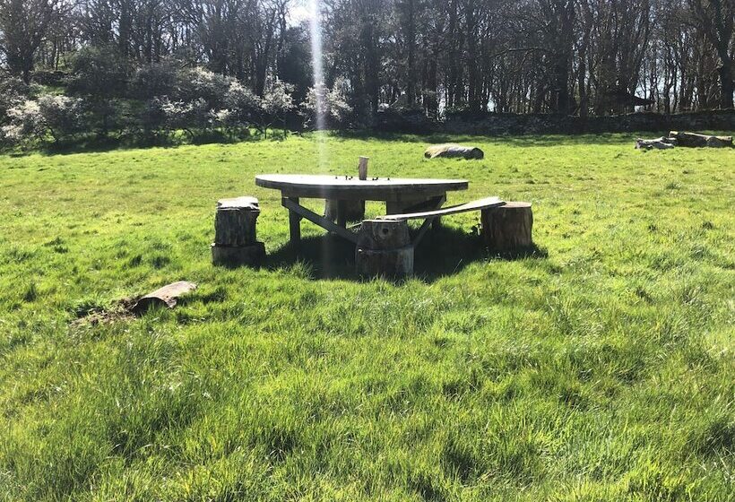 Elm   Bell Tent, Anglesey, North Wales