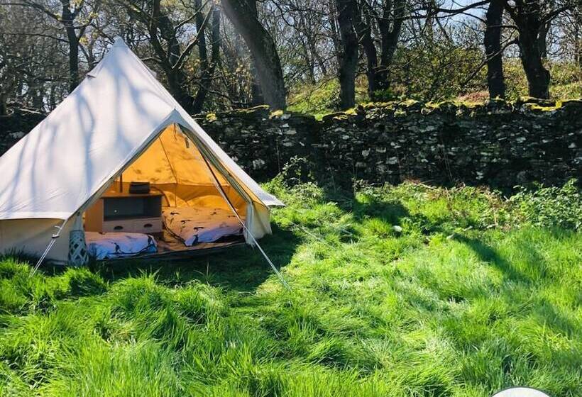 Elm   Bell Tent, Anglesey, North Wales