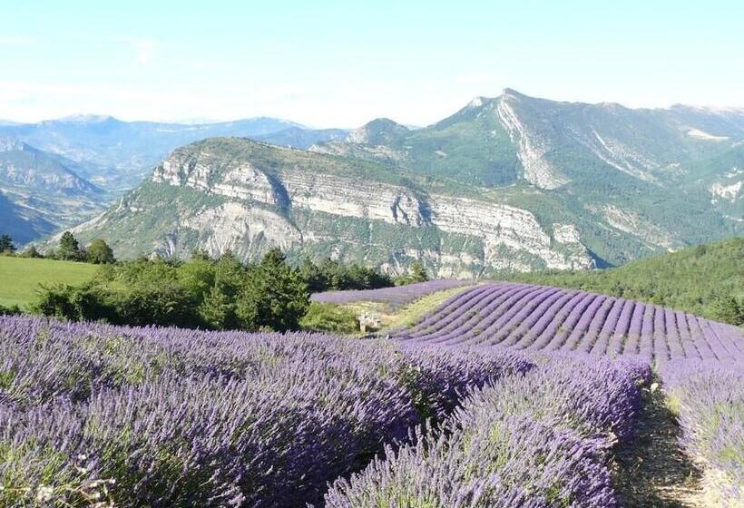 호텔 Auberge De L Escargot D Or