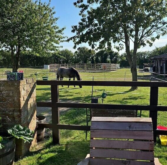 Отель Tranquil Equestrian Escape   Sleeps 2