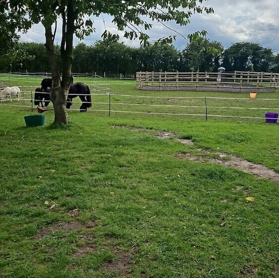 Отель Tranquil Equestrian Escape   Sleeps 2