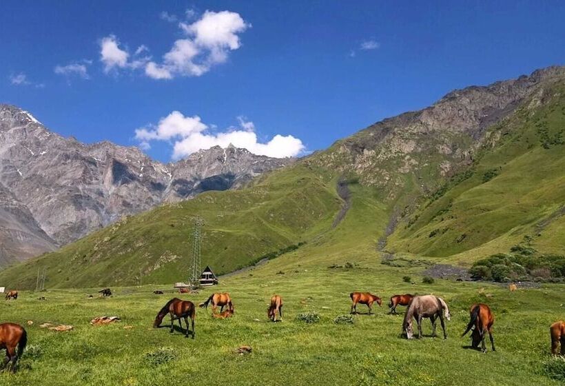 Mountain Flower Cottage