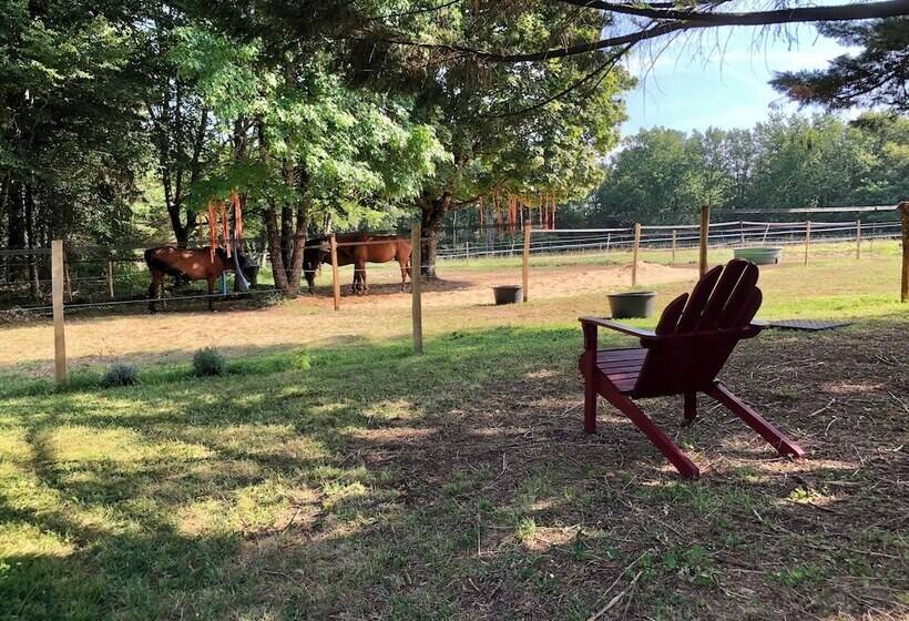 膳宿费 Le Mas Brantôme