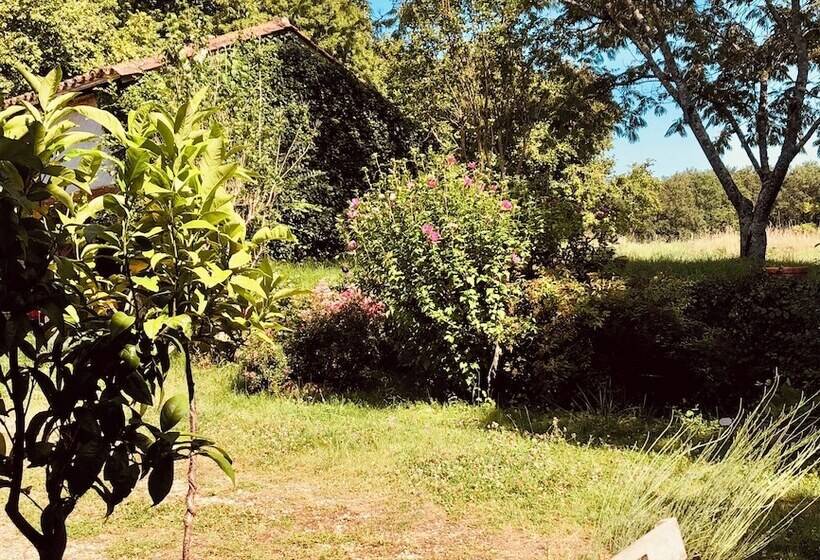 膳宿费 Le Mas Brantôme