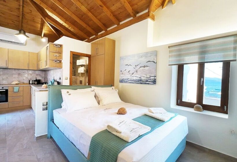 펜션 Myrsini S Studios In Chorto Pelion