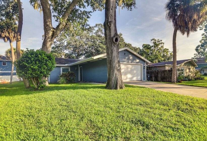 Pet Friendly Tampa Bay Getaway: Walk To The Water!