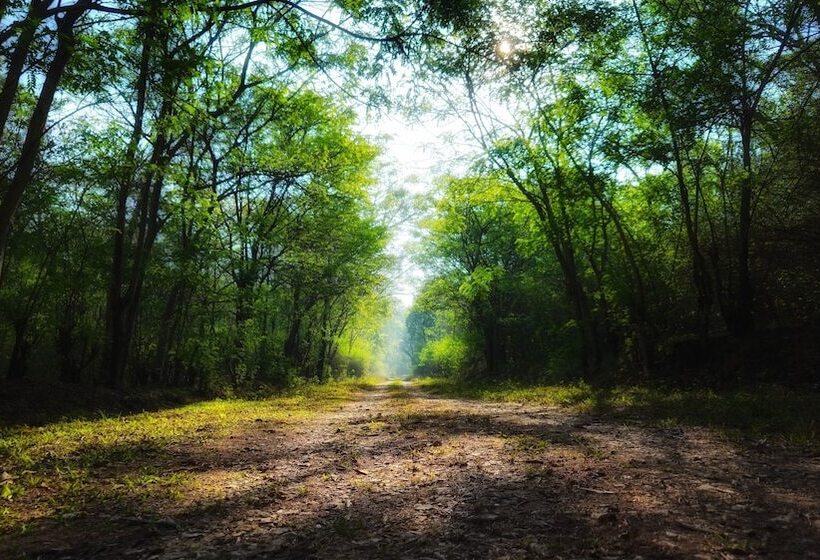 Devigiri Home Stay And Resort