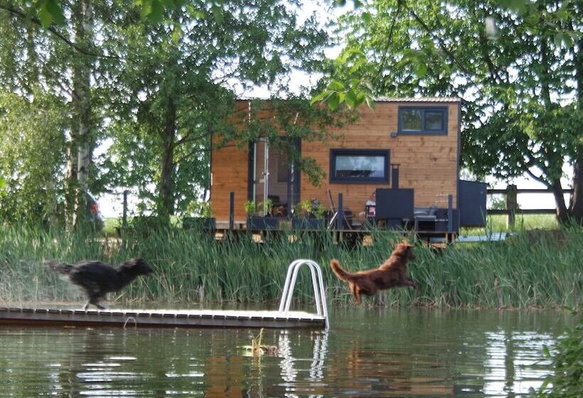 Tinyhousebeidresden1 Direkt Am Badeteich