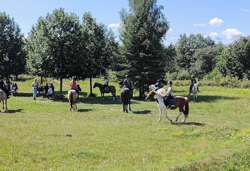 Tinyhousebeidresden1 Direkt Am Badeteich