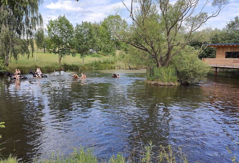 Tinyhousebeidresden2 Luxus Im Teich