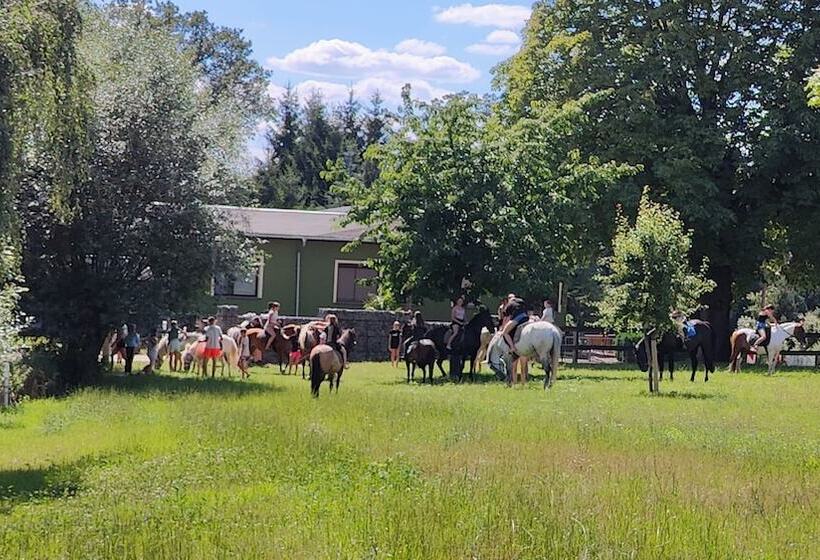 Tinyhousebeidresden3 Sächsische Schweiz