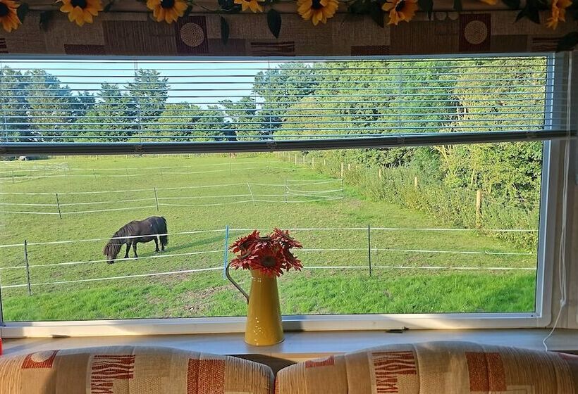 Equestrian Retreat   Sleeps 6 & Bbq