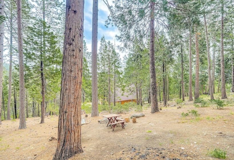 6 Mi To Pinecrest Lake: Cozy Cabin In Cold Springs
