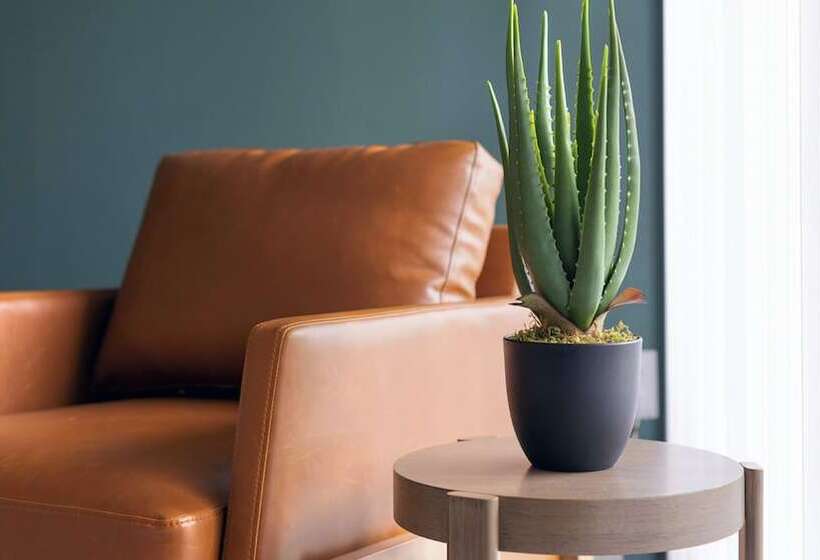 Elevate 758 By Landing