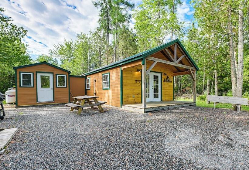 Harrington Cabin W/ Grills   Near Beaches & Hiking