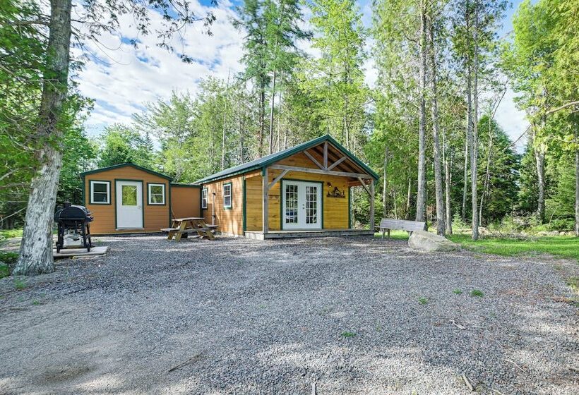 Harrington Cabin W/ Grills   Near Beaches & Hiking