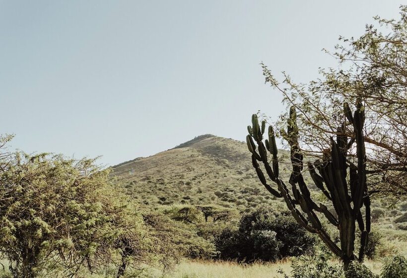 בית מלון כפרי Duiker Game Lodge