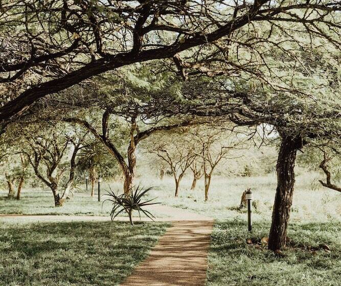 בית מלון כפרי Duiker Game Lodge