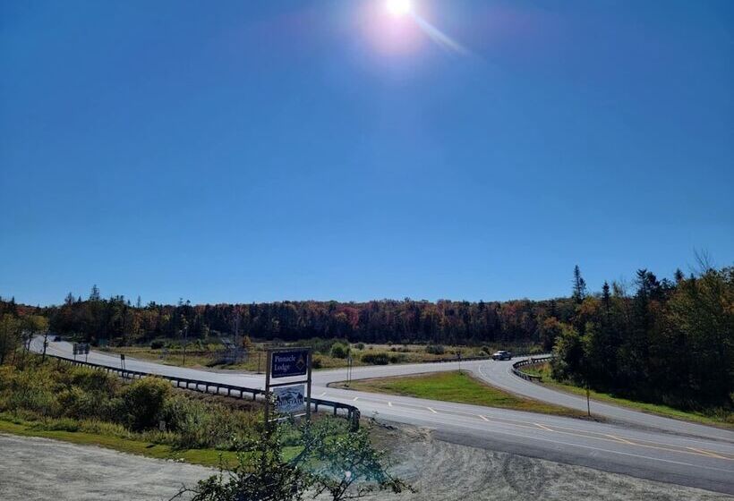 ホテル Pinnacle Lodge