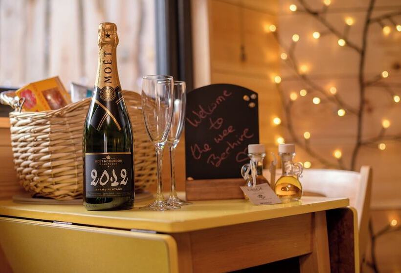 호텔 Sweet Donside Cabins