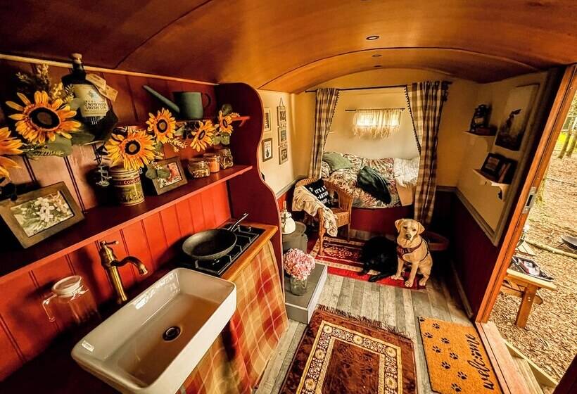 North Norfolk Glamping