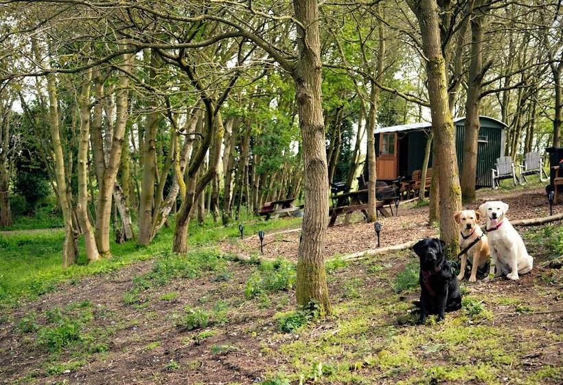 North Norfolk Glamping