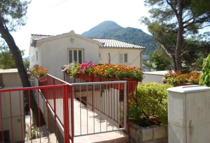 פנסיון Guest House Sobra 38