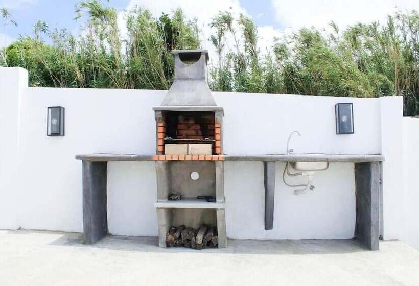 膳宿费 House Of Stars