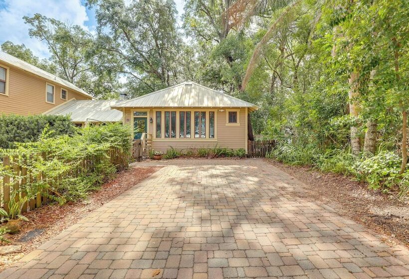 Pet Friendly Tampa Home In Walkable Neighborhood!