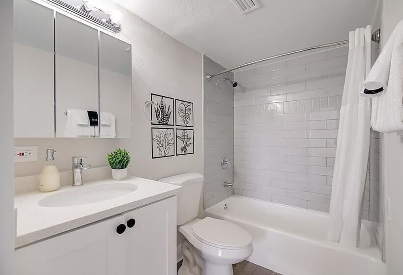 Barsala At The Wayland