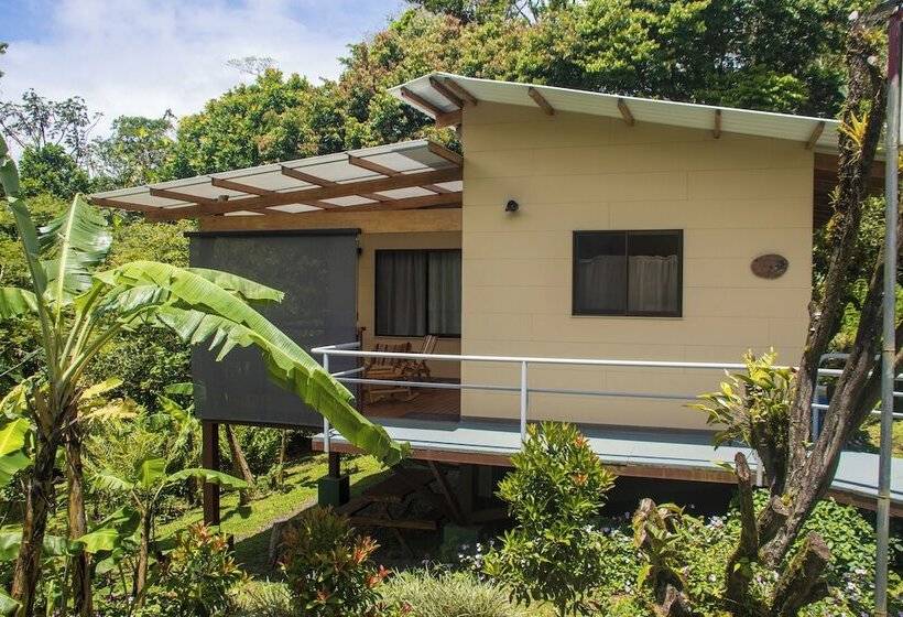 Aves De Tierras Altas