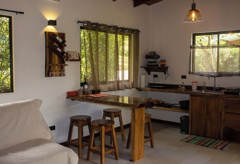 Aves De Tierras Altas