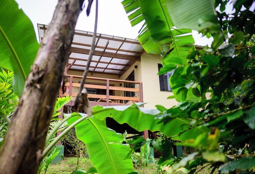 Aves De Tierras Altas