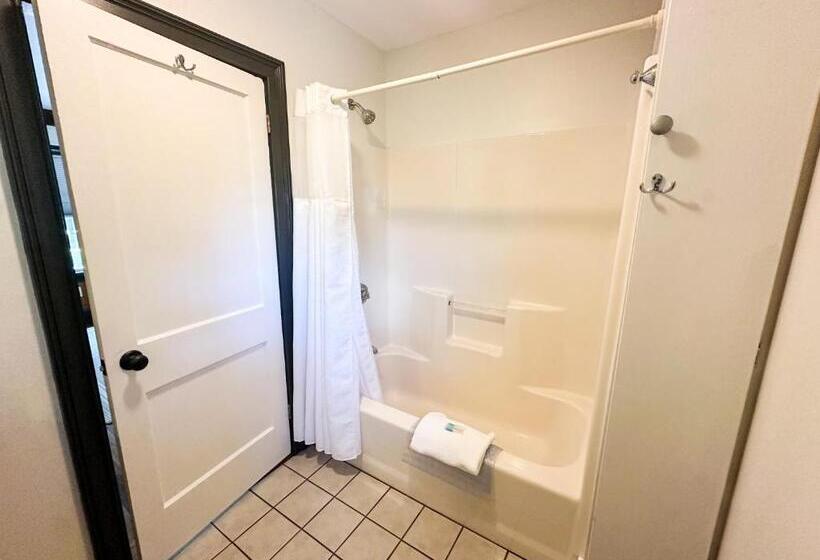 住宿加早餐 The Black Walnut Inn