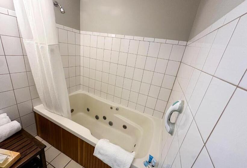 住宿加早餐 The Black Walnut Inn