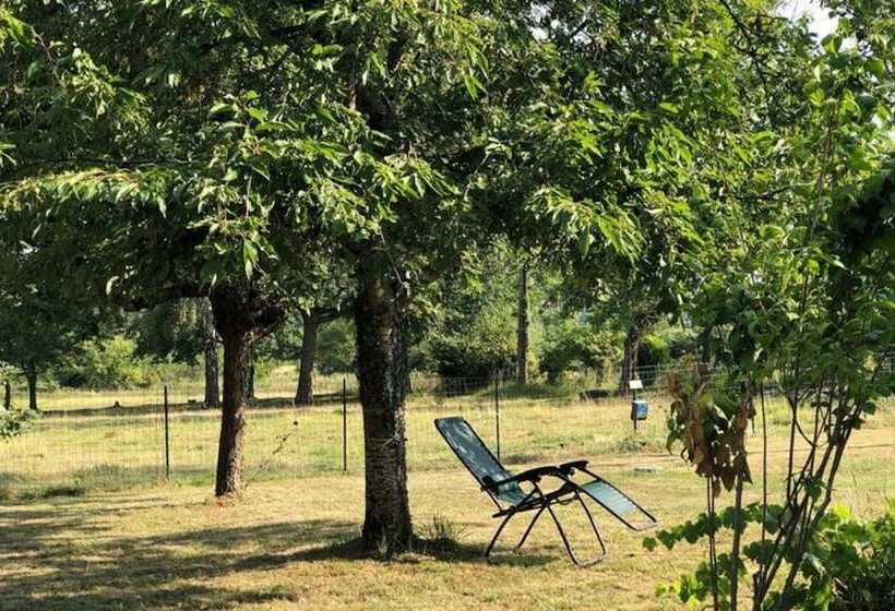 Charming House With Fireplace