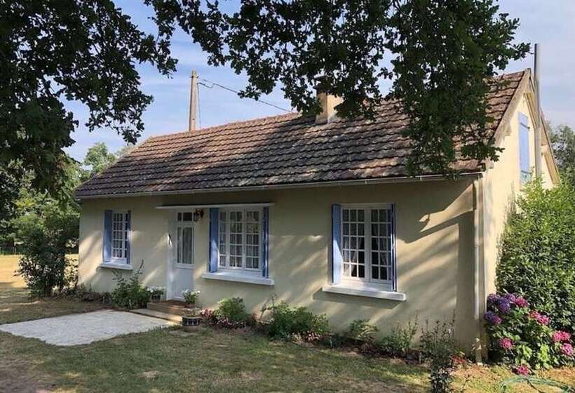 Charming House With Fireplace