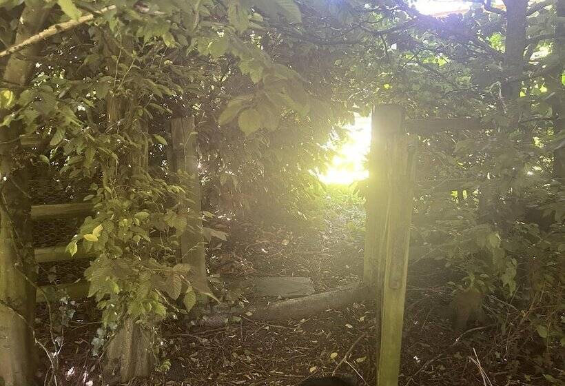 Cozy Cabin Retreat In Bedford