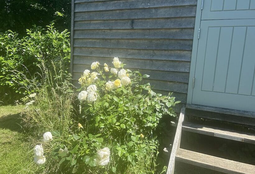Cozy Cabin Retreat In Bedford