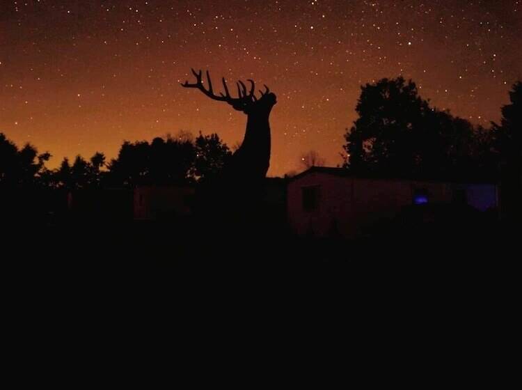 호텔 Charming 2 Bed Lodge In Newton Stewart