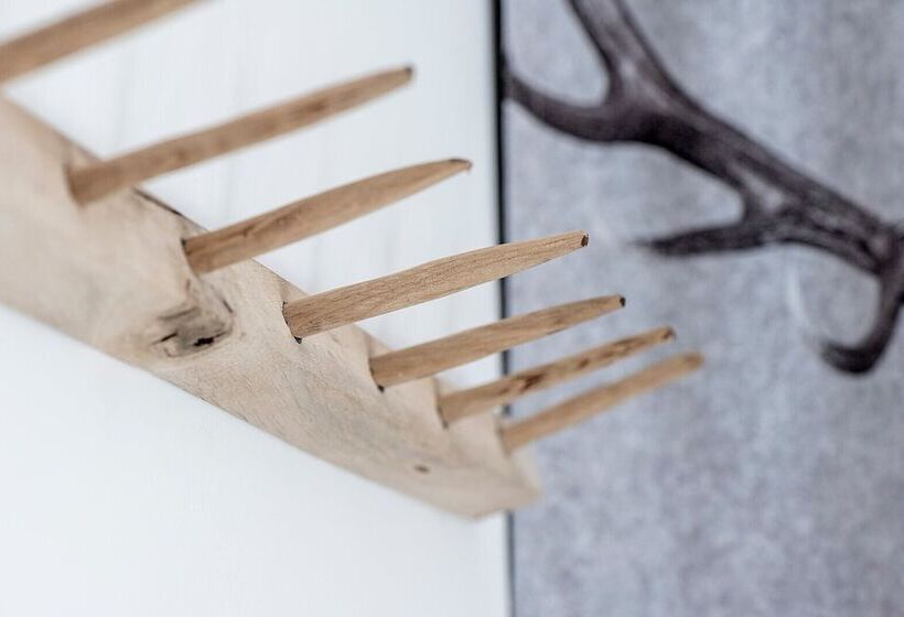 בית מלון כפרי Fokus N Cyan