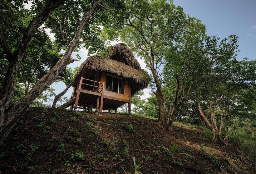 Отель Eco Venao