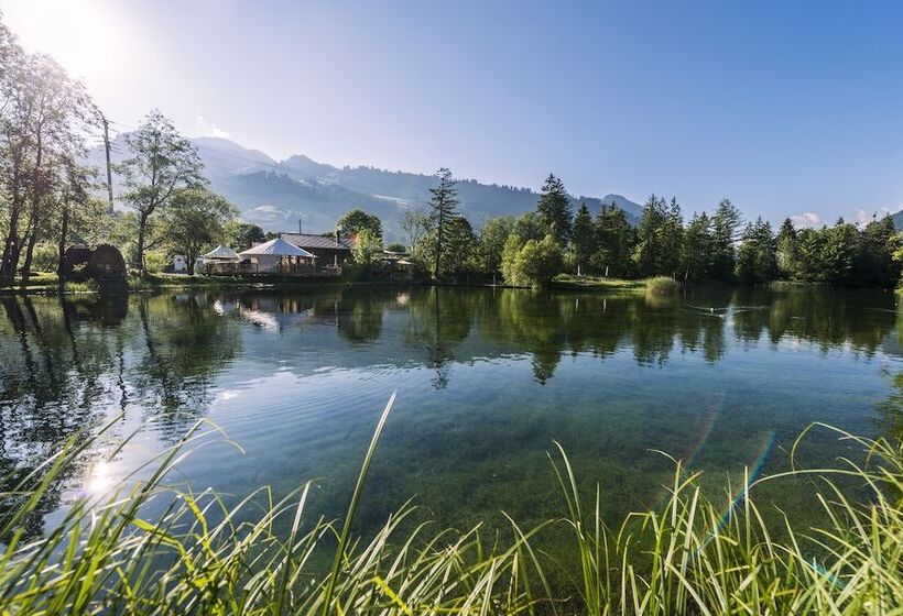 酒店 Forellensee Gstaad Zweisimmen