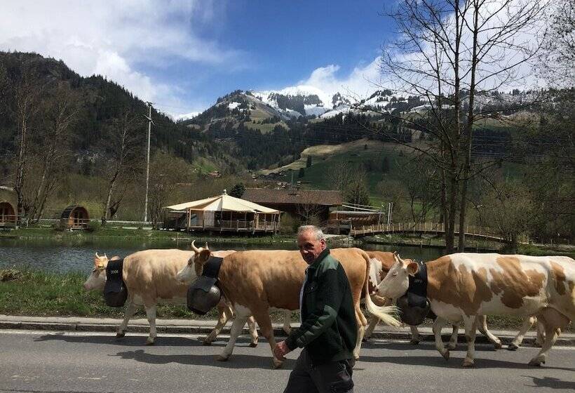 酒店 Forellensee Gstaad Zweisimmen