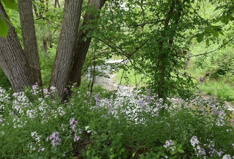 호텔 Peyper Fields