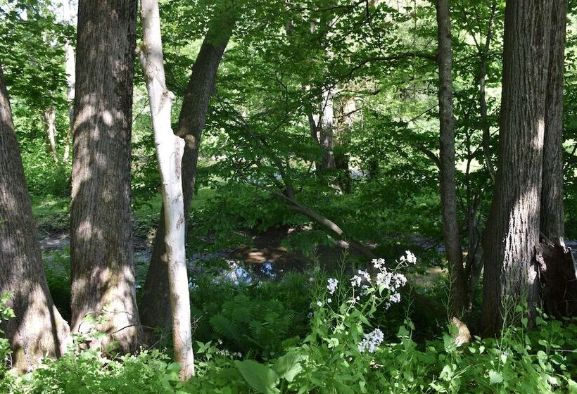 호텔 Peyper Fields